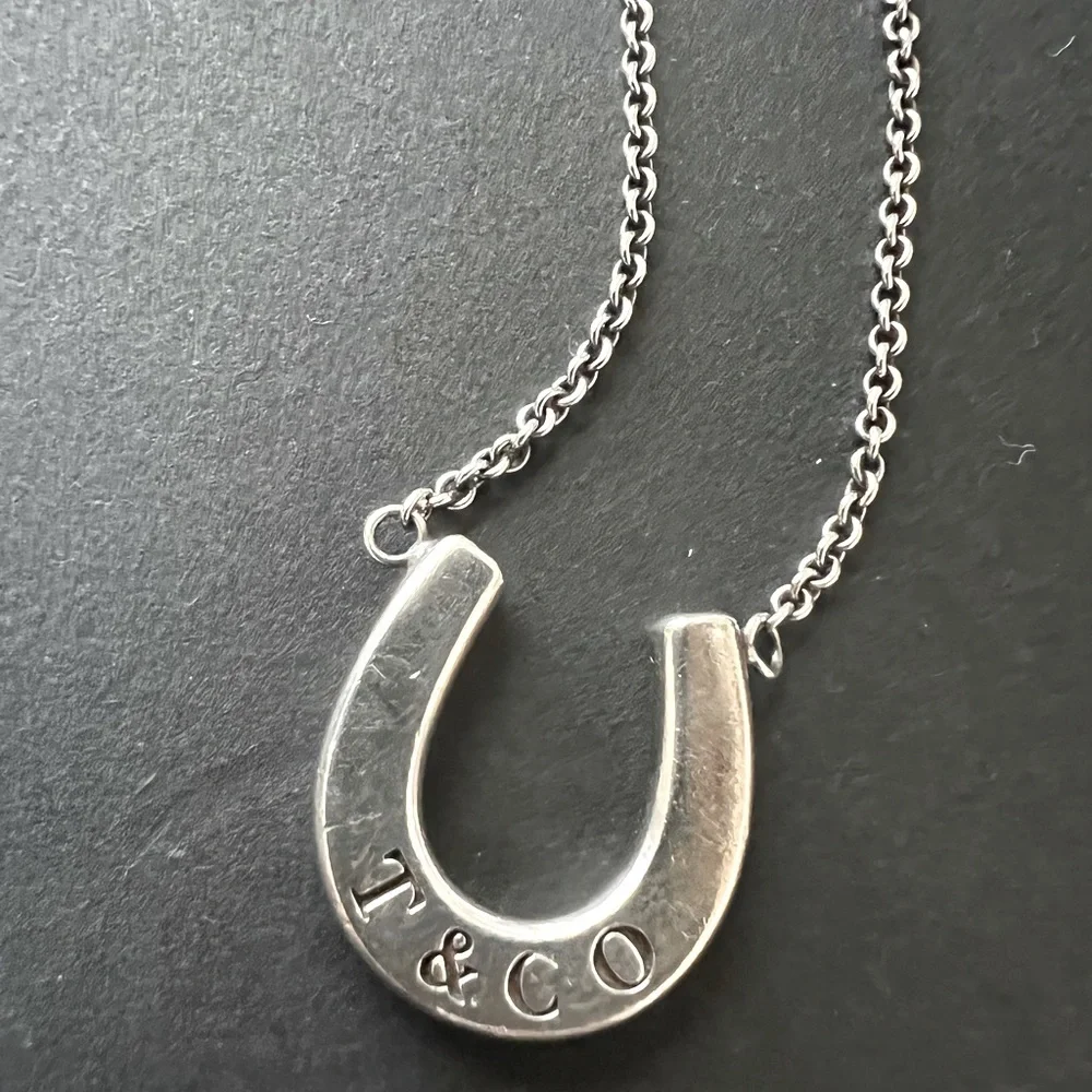 Tiffany & Co. | Jewelry | Tiffany Horseshoe Necklace | Poshmark